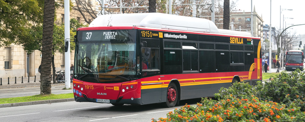 Autobuses de Sevilla (Andalucía, España)